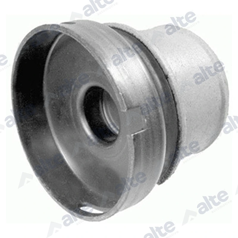 Bushing, axle beam
